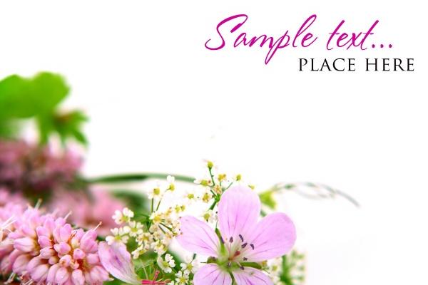 梦见掉包包有何寓意