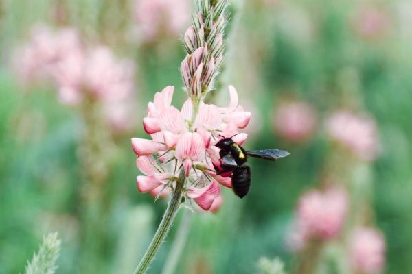 梦到珠宝手饰预示什么