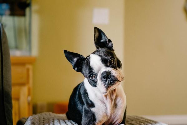 梦到了婴儿没穿衣服有什么意义吗