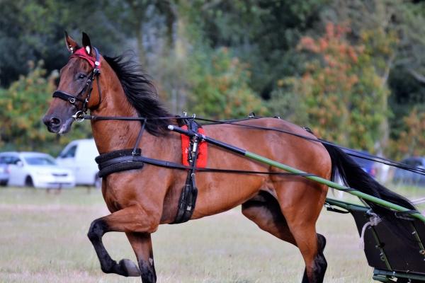 梦到了丢男孩有什么意思