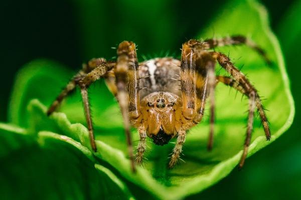 梦到了替别人付钱是什么预兆