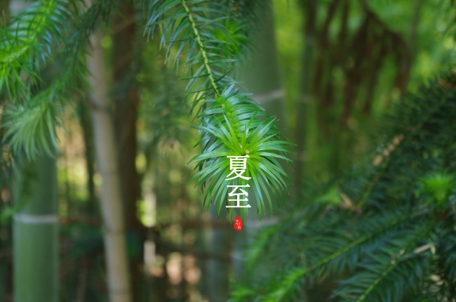 梦见变态跟踪是什么预兆