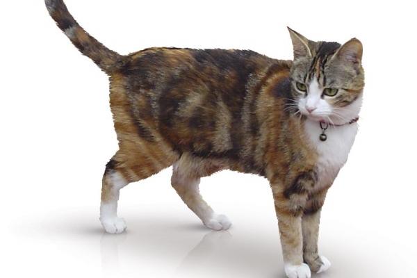 梦到别人说自己要死了啥意思