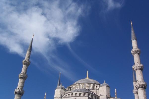 属龙女会被谁纠缠一生