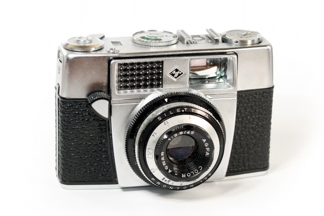 属猴在哪个城市比较旺