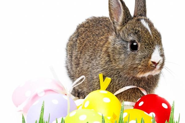 梦到了杀恐龙是什么预兆