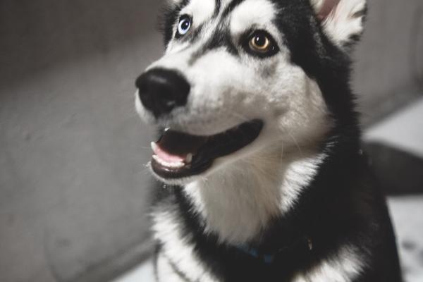 梦到送老人意味着什么