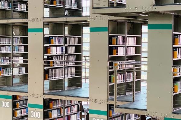 属猪人各个时辰看一生运势