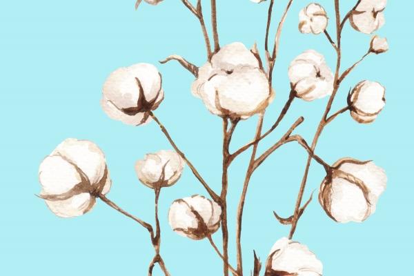 生肖鼠的贵人是什么生肖呢