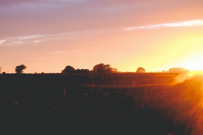 梦到了把钱扔了预兆了什么吗