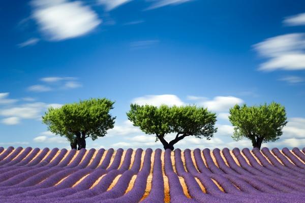 梦见邻居家孩子有什么预兆