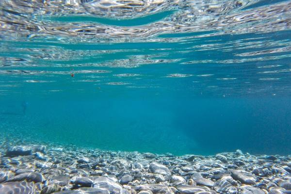 梦到单位宿舍是怎么回事