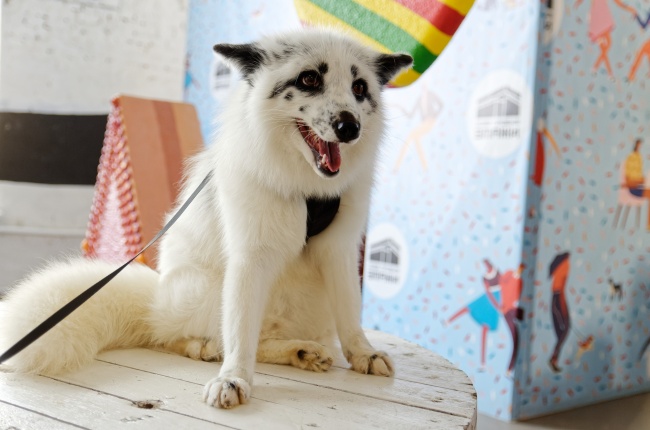 梦见搓衣服是凶兆还是吉兆