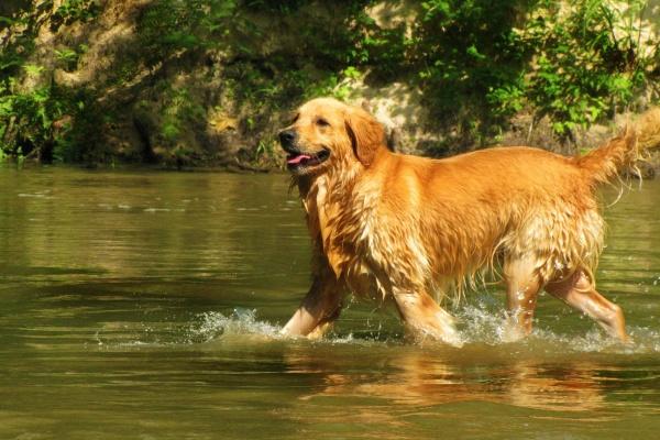 梦到当间谍是凶兆还是吉兆