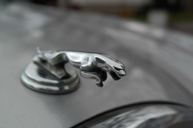 梦见死的朋友是咋回事