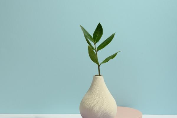 梦见准备爬山有什么说法