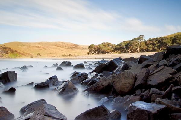 注定一辈子贵妇命的生肖女