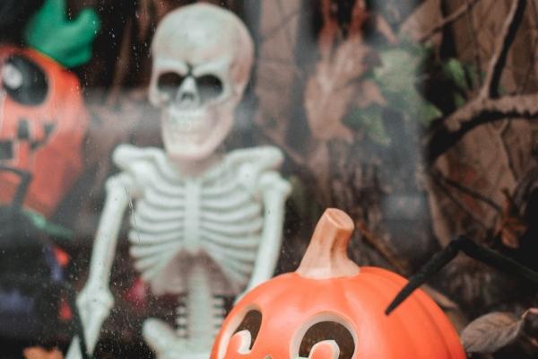 能降住属羊人的生肖