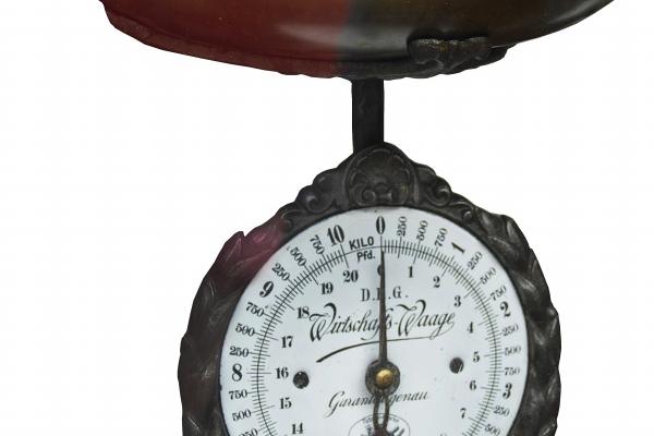 属猴一生最忌三种东西