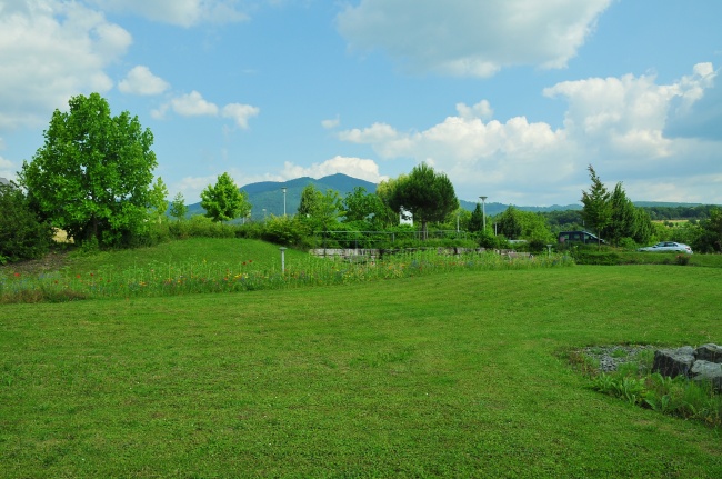 属鸡人财运不好怎么化解