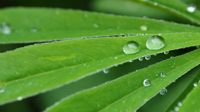 最不旺夫4个属相女