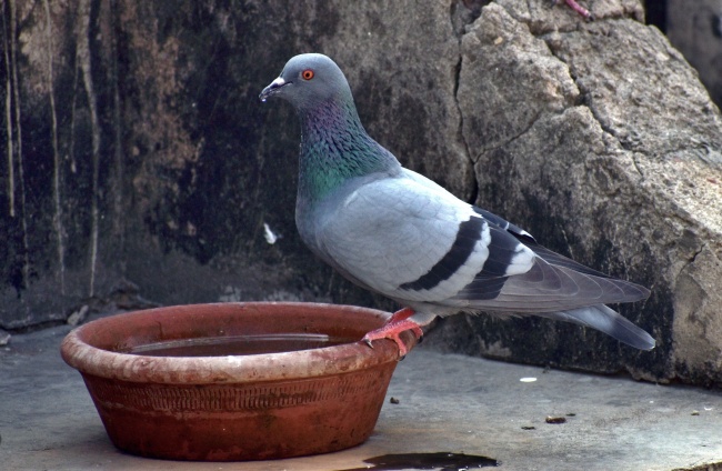 属羊的人忌住几楼