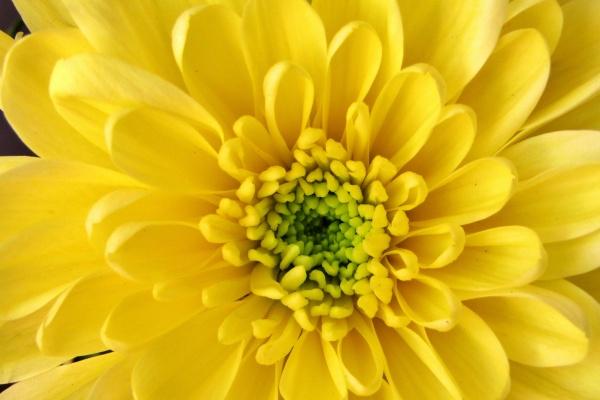 一辈子最有钱的生肖男