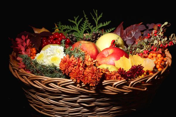 什么最旺属马的