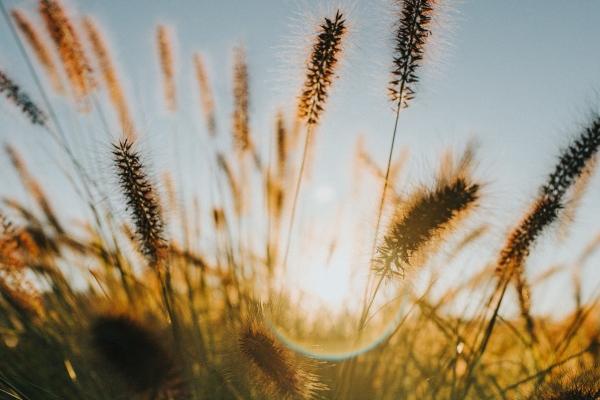 喜欢把老婆带在身的生肖男