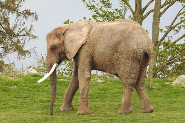 代代都很有钱的生肖男