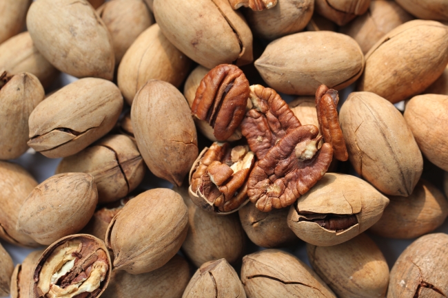 家有一蛇一虎寓意好吗