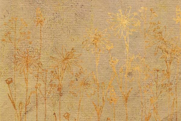 见一个爱一个的生肖男