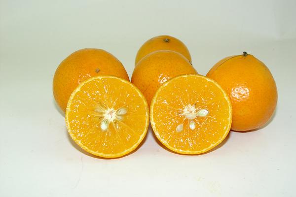 迟早成为大老板的生肖男