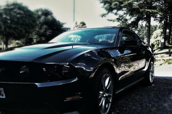 仙指阁运势 2025年2月21日十二生肖运势解析