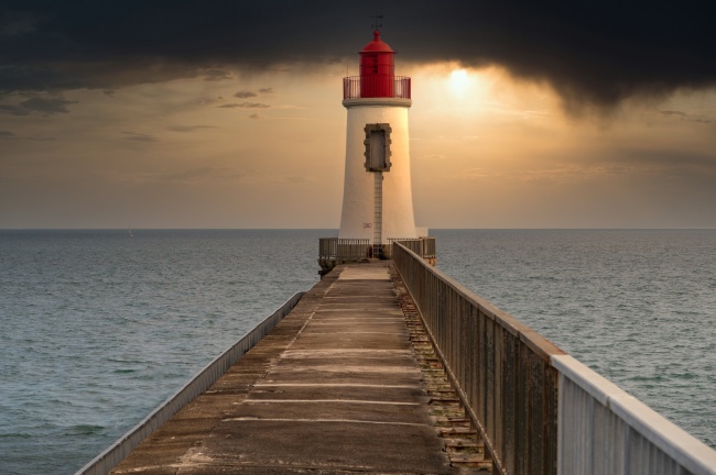 蛇是鼠的贵人还是小人