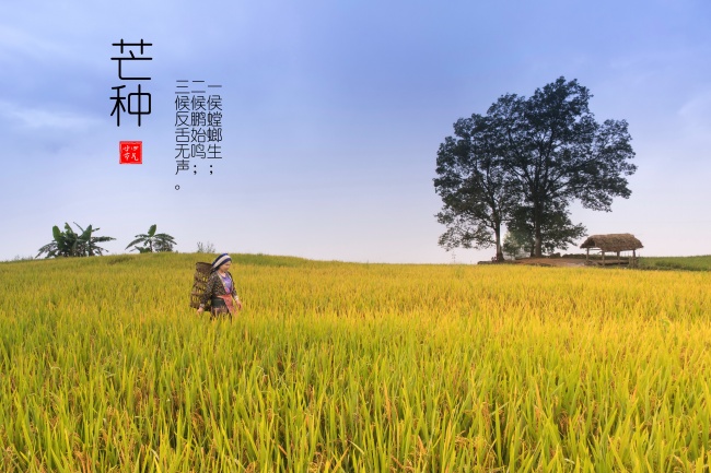 羊鼠在一起可以化解吗，属相羊和鼠如何化解