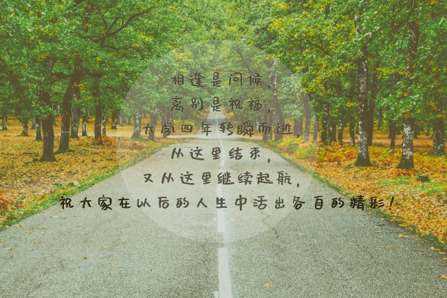 属牛人的晚年运势