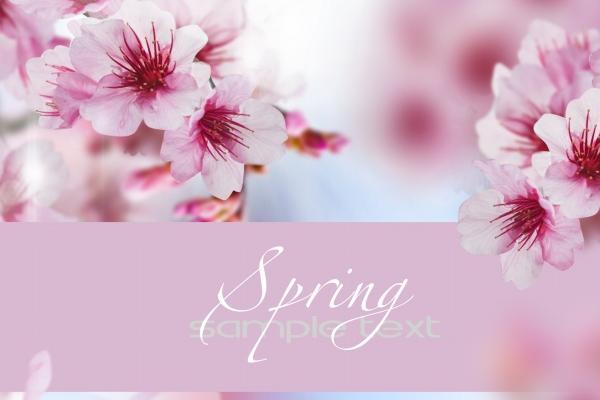 属兔人开店门口朝哪个方向好，兔开店最忌三个地方