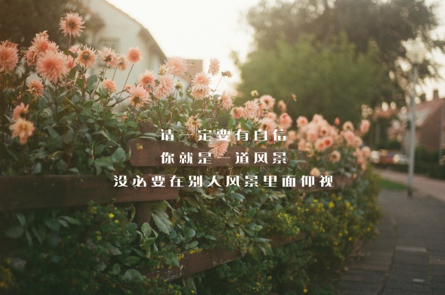 属鸡人晚年凄苦的原因及最凶的年份