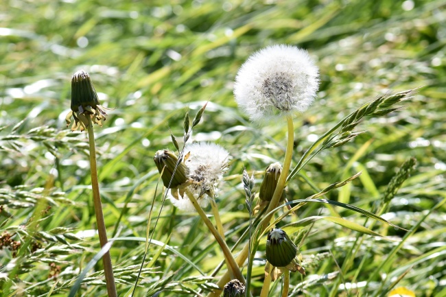 女人绝情起来很凶生肖女