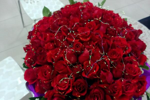 第一运程 2025年2月26日十二生肖运势解析