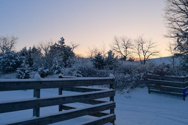 属鸡买车大忌三种颜色