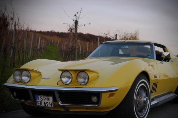 属猪人要远离的四样东西