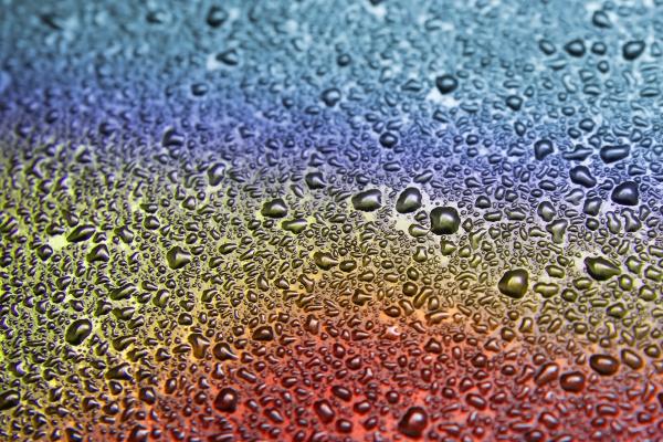 81年鸡女婚姻最终归宿