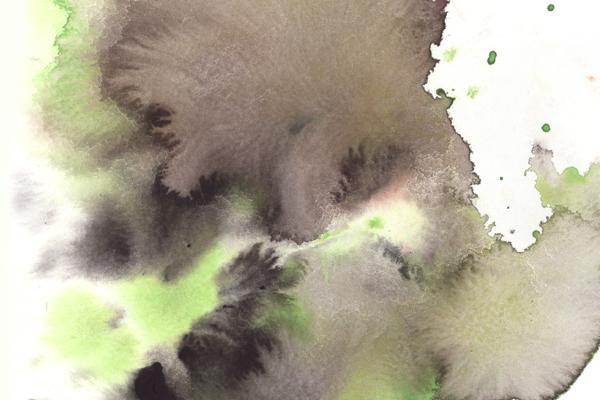 女虎为啥旺男牛，虎女一生离不开牛男