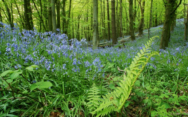 2005年属鸡女一生命运如何
