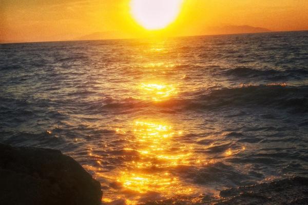 属鸡男最深爱的生肖女