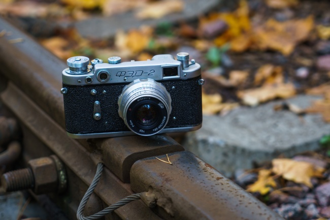 属猪的宝宝聪明吗