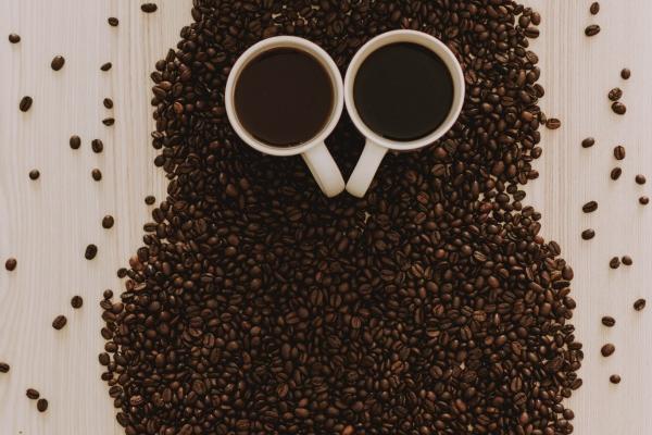 属蛇今年运气如何