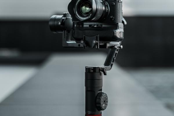 属鼠烂桃花一般会持续多久，属鼠人犯桃花的年份